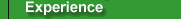Experience